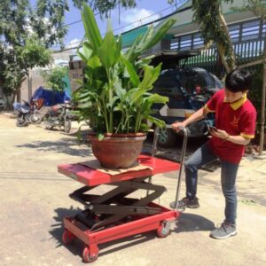 Xe Nâng Mặt Bàn