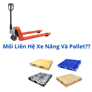 xe nâng và pallet